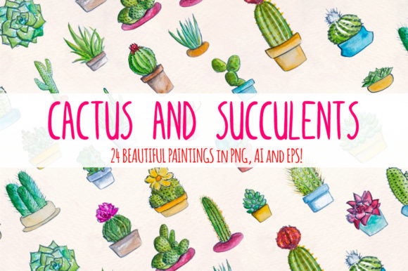 Cactus and Succulents