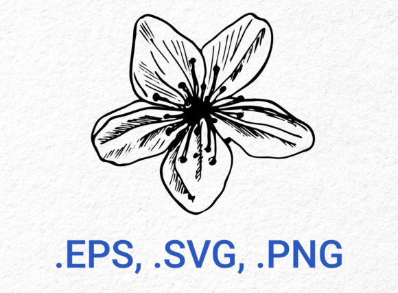 Cherry Blossom Flower Sketch Graphic: A Versatile Design Resource