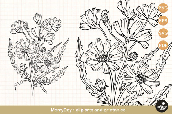 Chicory Summer Flower Clip Art Svg: A Versatile Design Resource for Modern Creatives