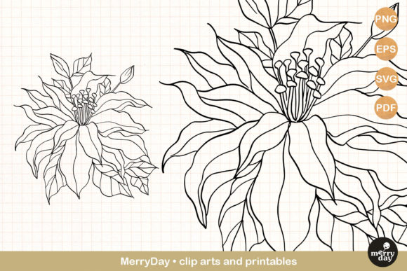 Clematis Summer Flower Clip Art: A Versatile Design Resource for Creative Projects