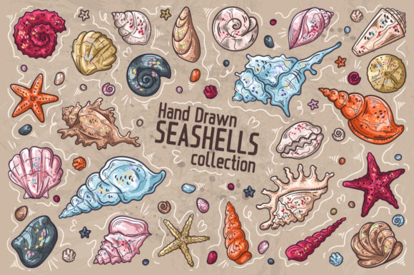 Seashells Collection: Create Your Own Marine-Themed Designs