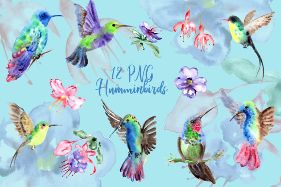 Watercolor Cute Hummingbirds Clip Art for Creative Workflows