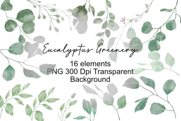 Watercolor Eucalyptus Clipart for Creative Projects
